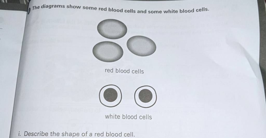 The diagrams show some red blood cells and some white blood cells. red bl.. Biology Diagrams