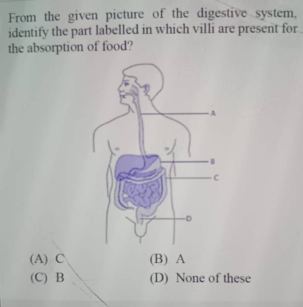 From the given picture of the digestive system, identify the part labelle..