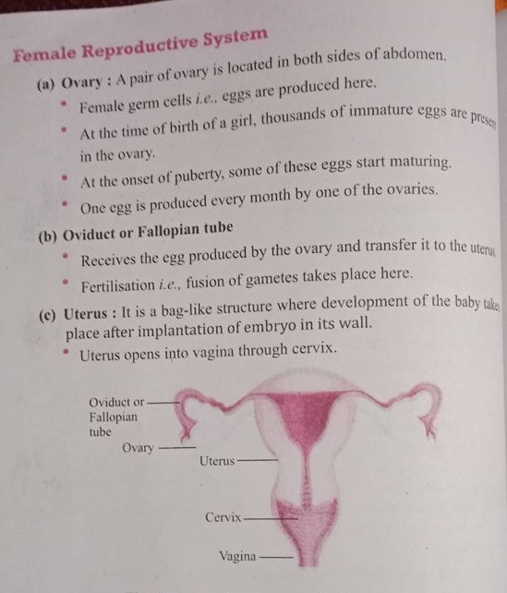 Female Reproductive System (a) Ovary : A pair of ovary is located in both..