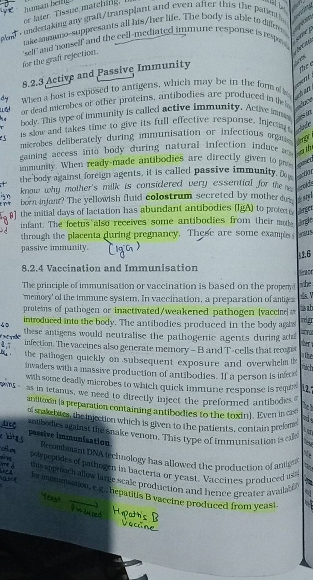 self-and-nonself-and-the-cell-mediated-immune-response-is-responge-for-th