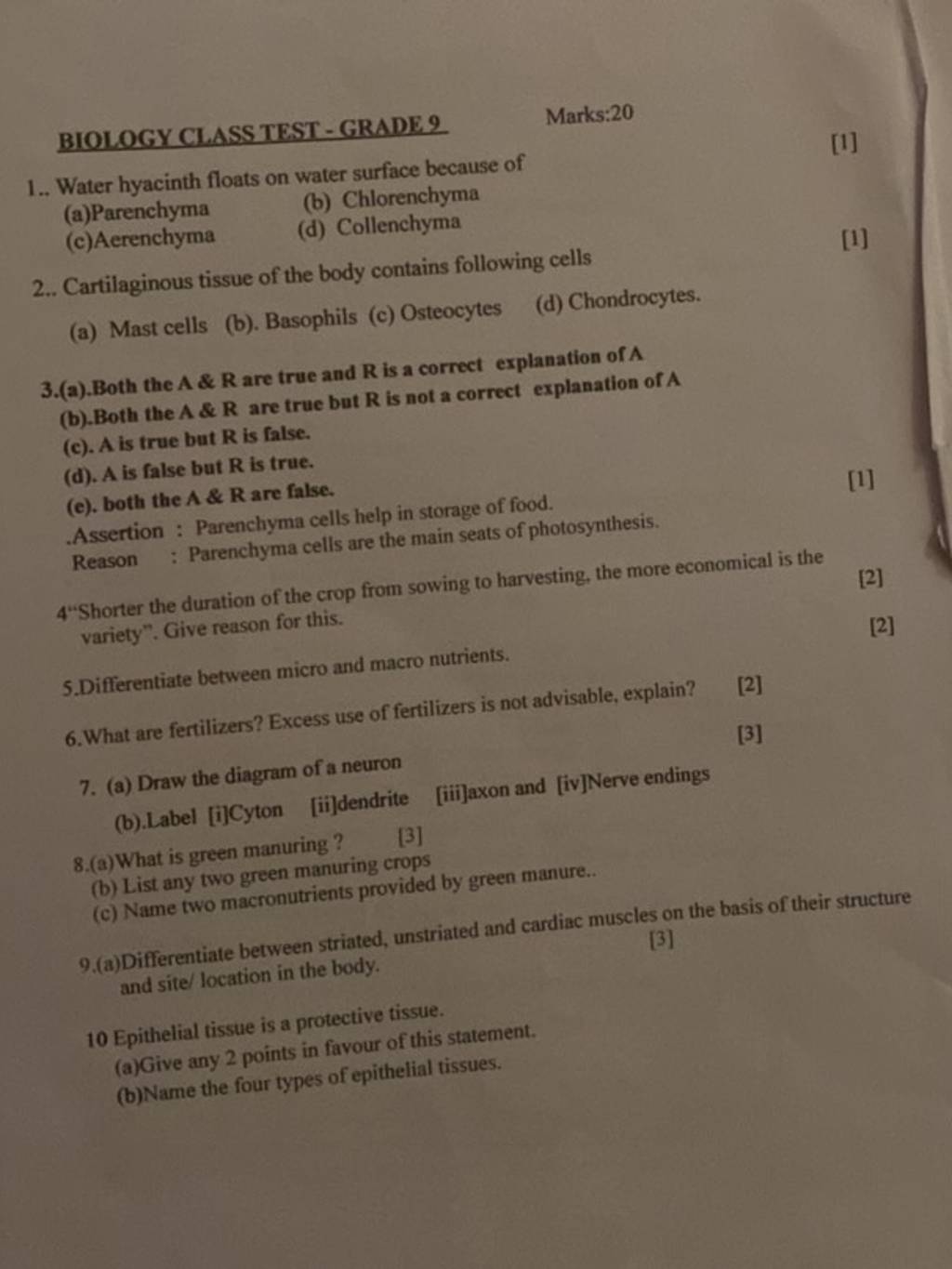 Assertion Parenchyma cells help in storage of food. Reason Parenchyma..