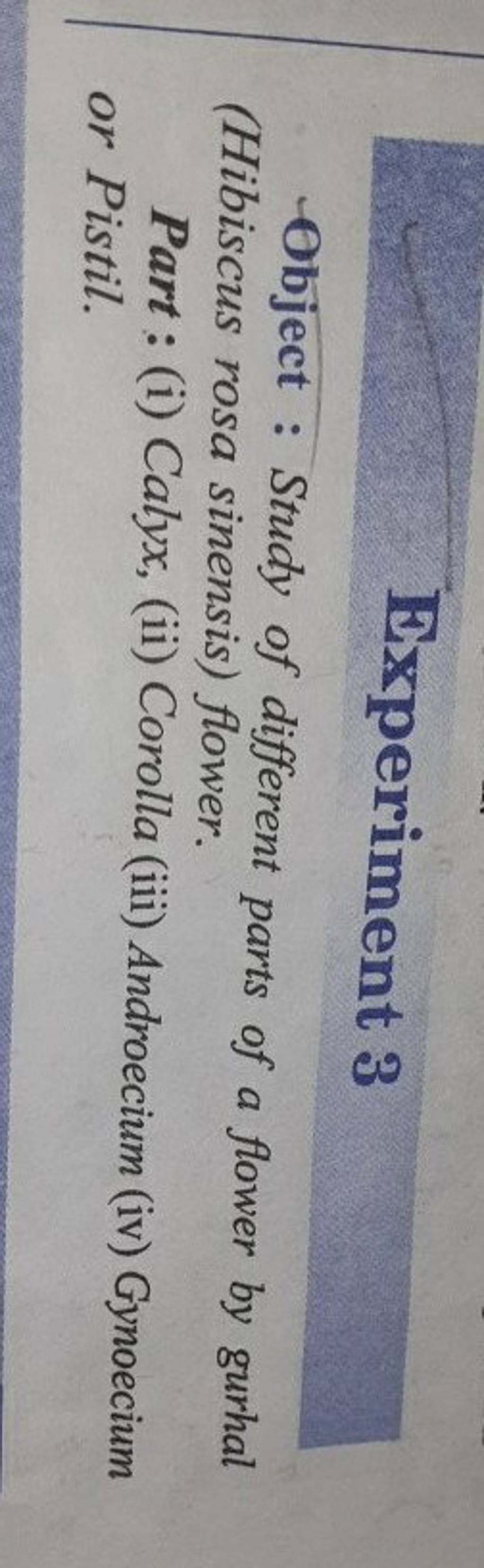 Experiment 3 Object Study of different parts of a flower by gurhal (Hib..