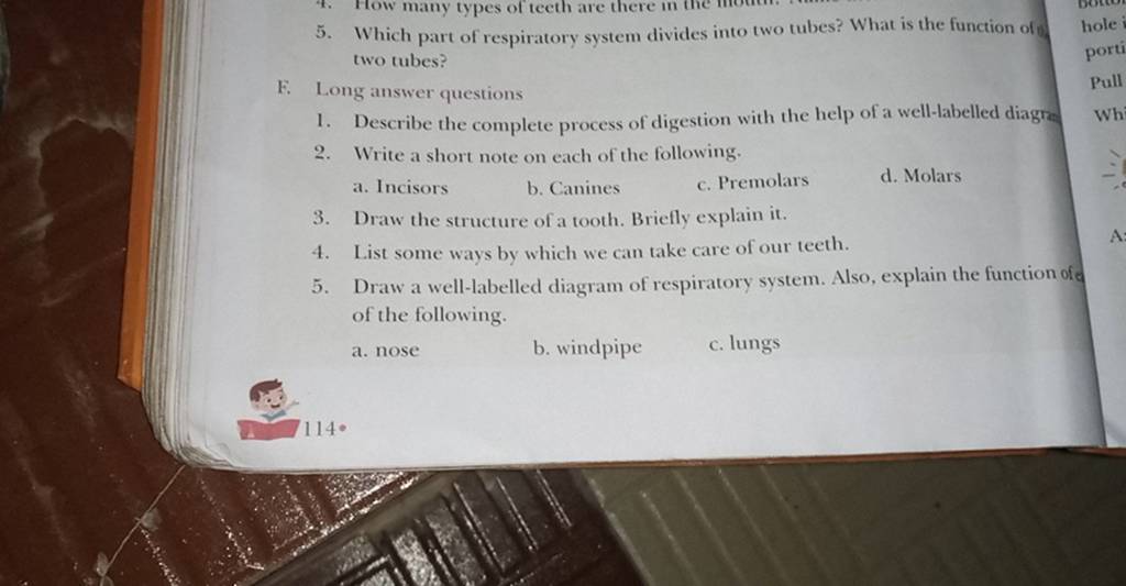 draw-the-structure-of-a-tooth-briefly-explain-it-4-list-some-ways-by-w