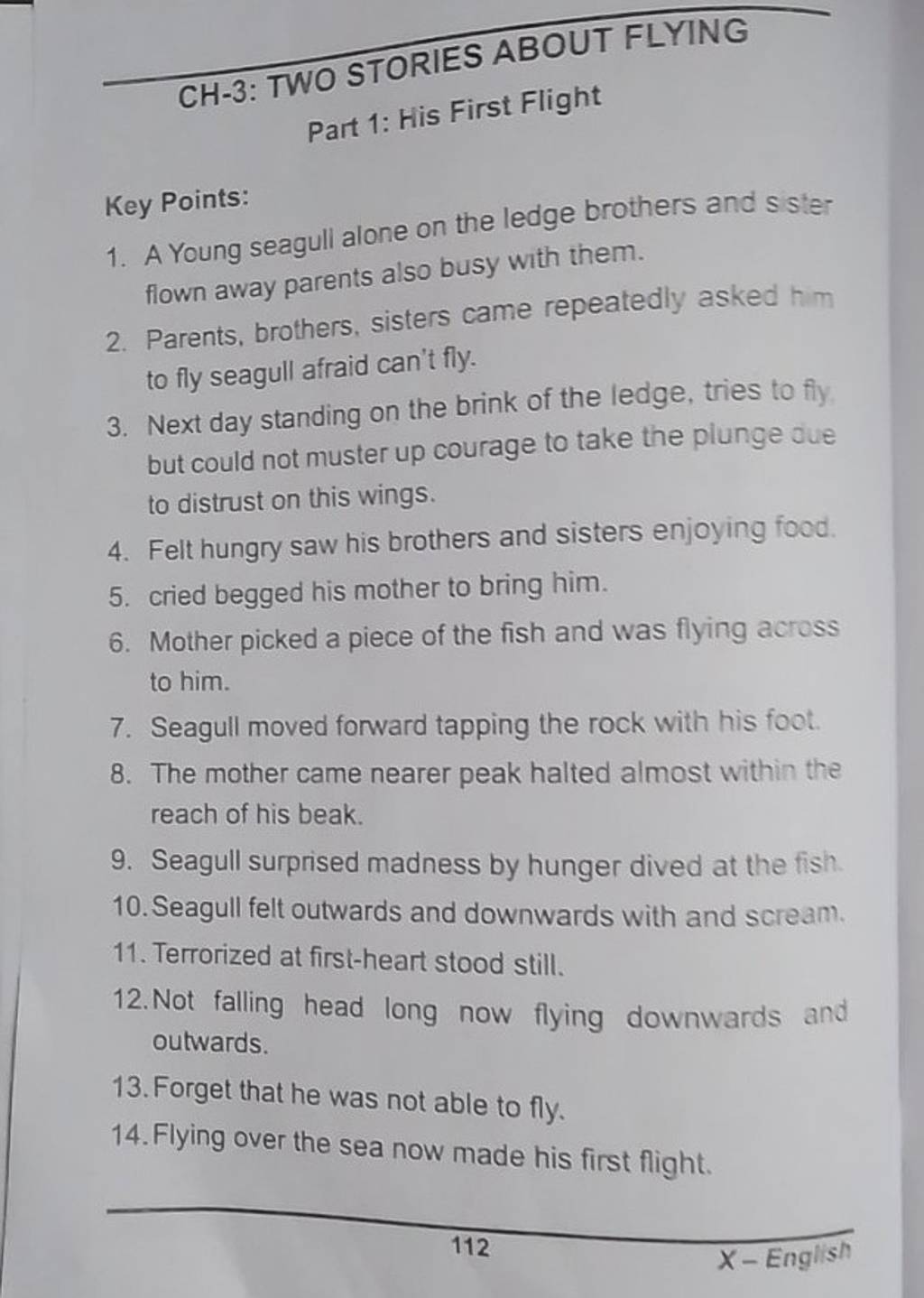CH3 TWO STORIES ABOUT FLYING Part 1 His First Flight Key Points Filo