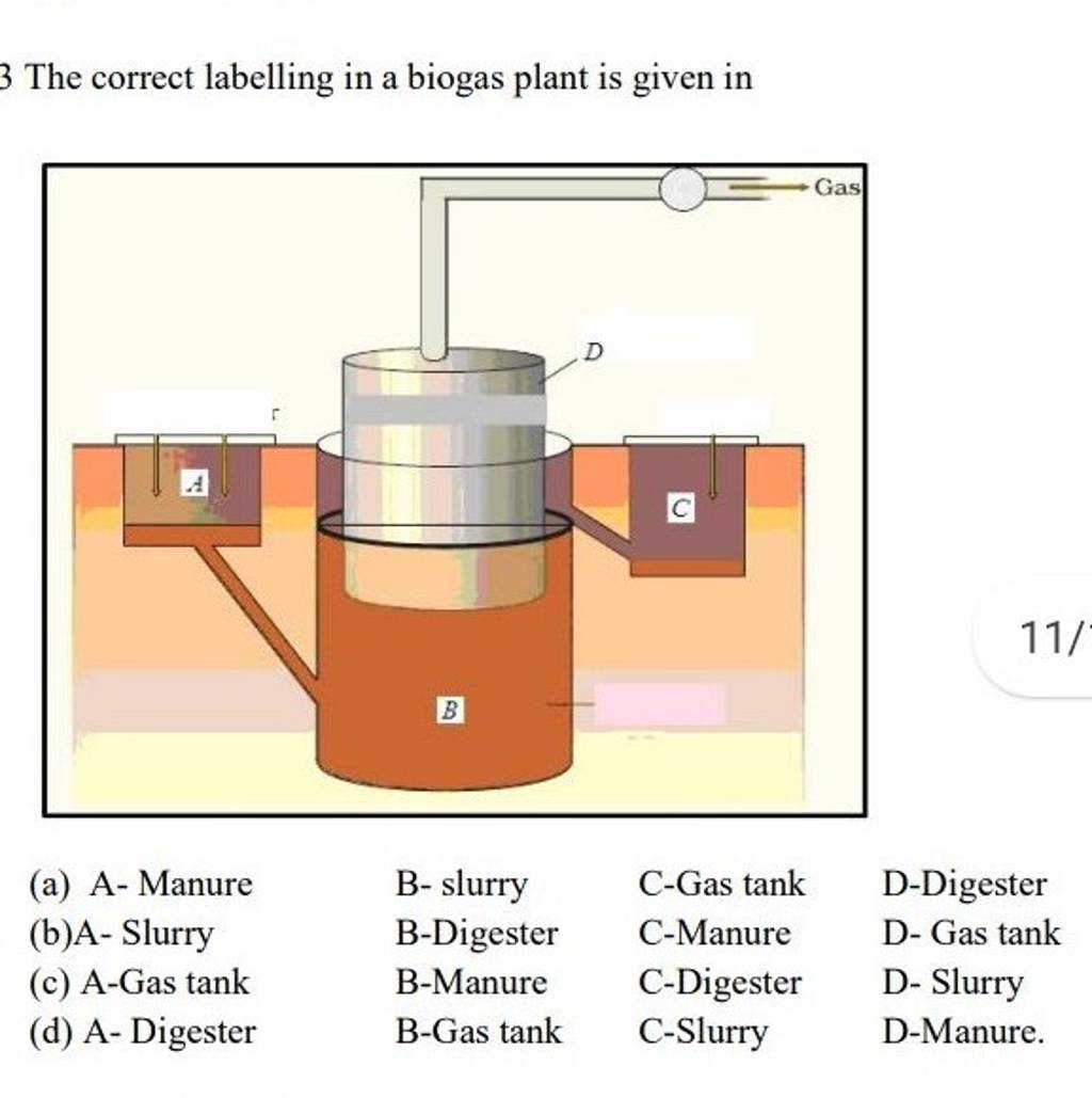 3 The Correct Labelling In A Biogas Plant Is Given In | Filo