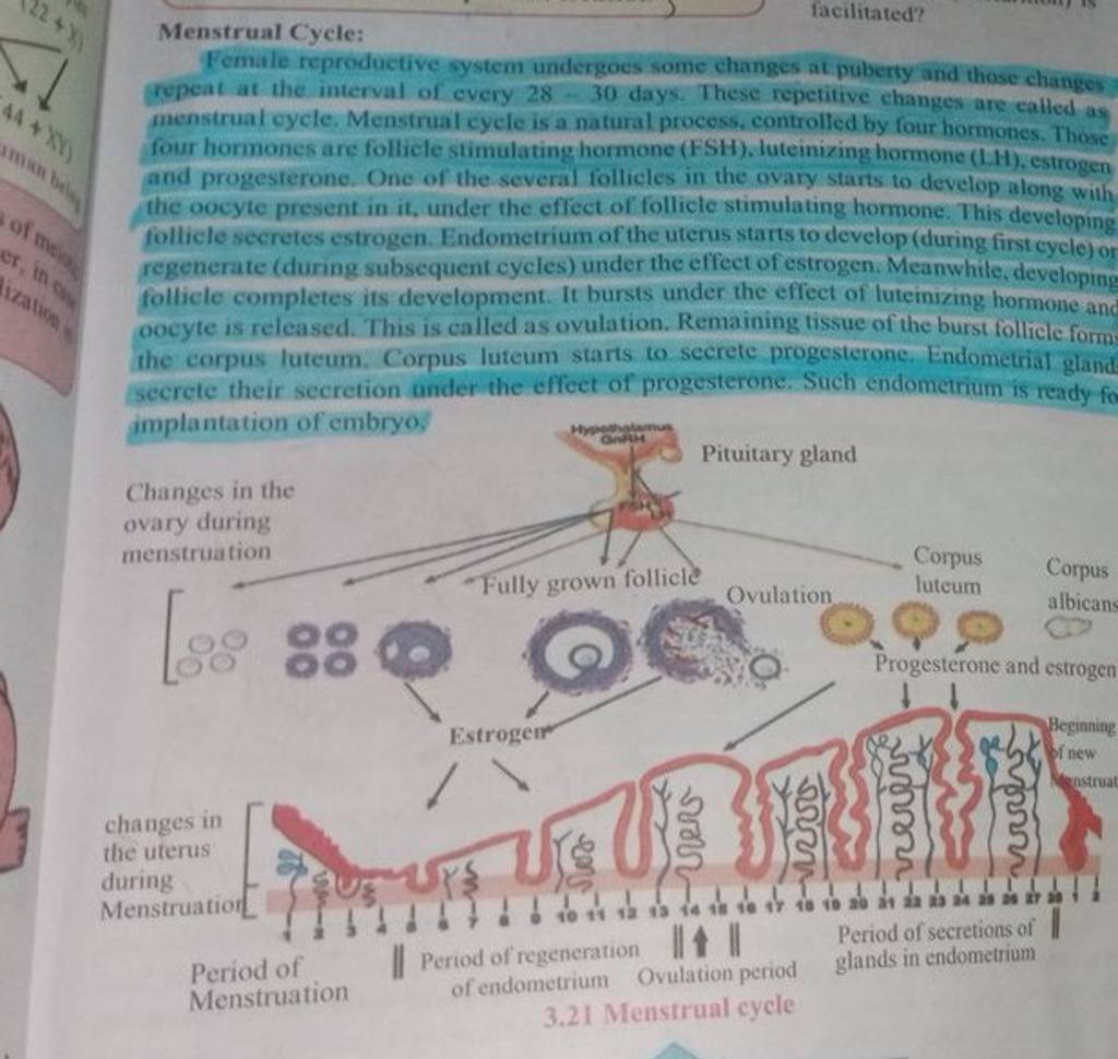 Menstrual Cycle Female reproductive system undergoes some changes at pub..