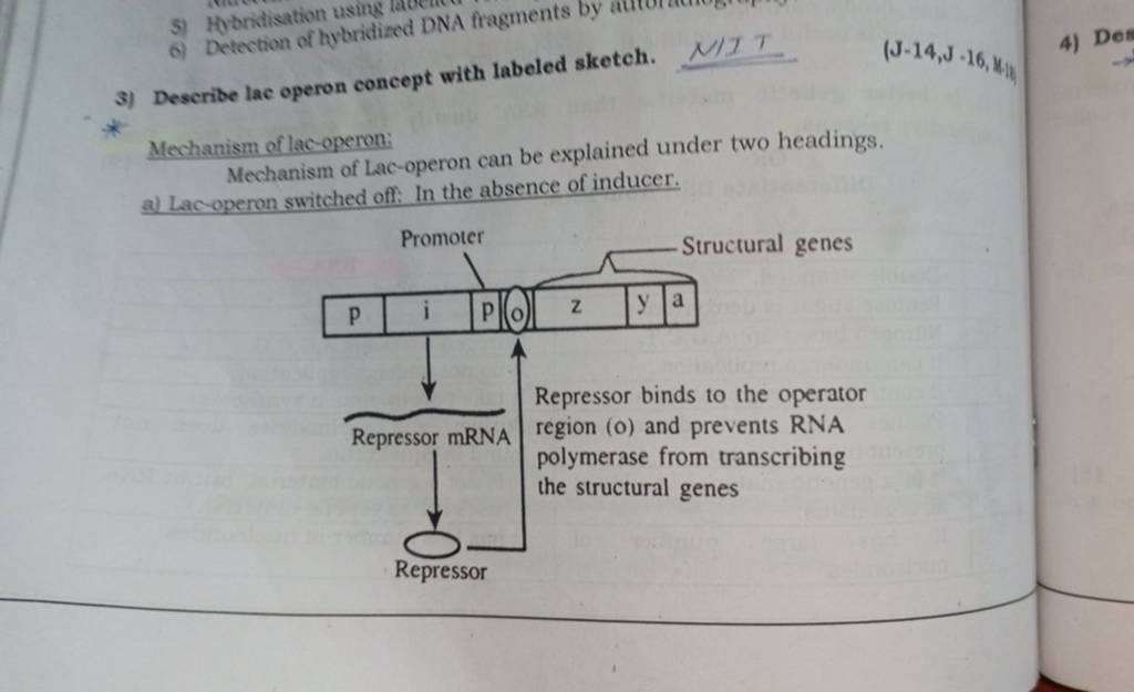 Describe Lac Operon Concept