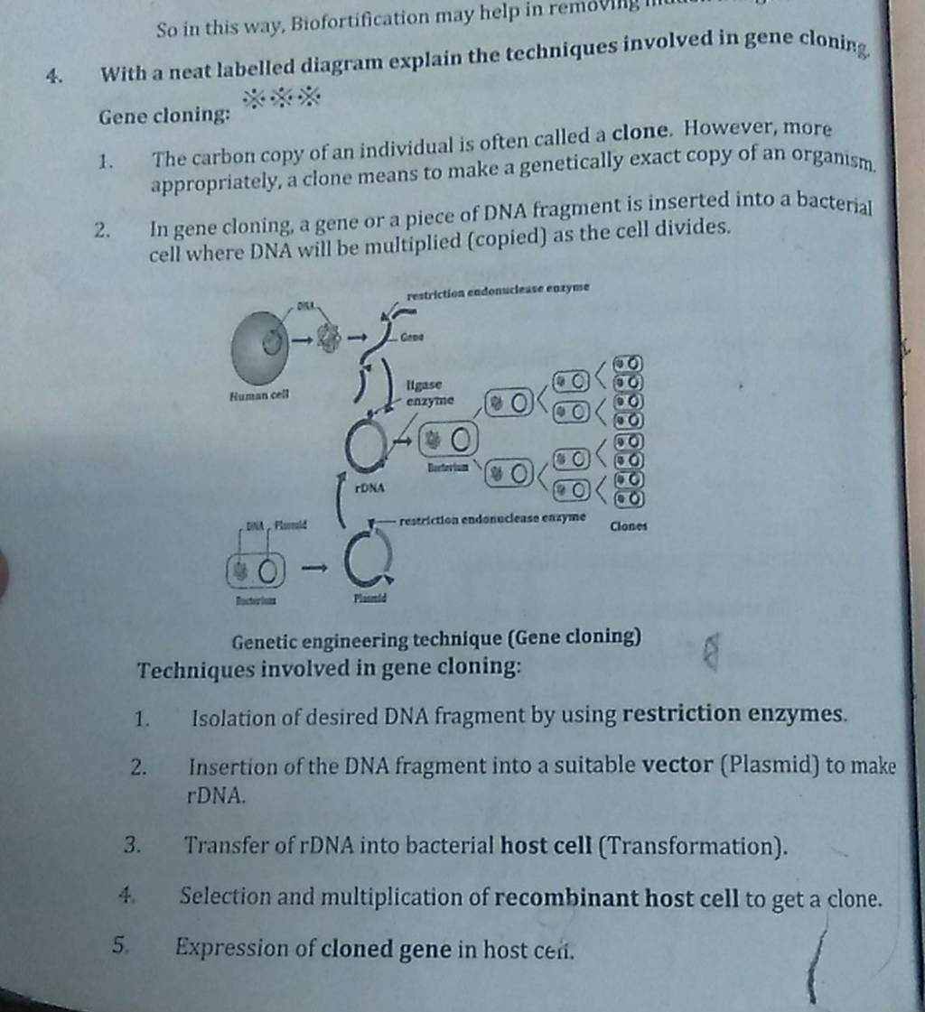 engineering technique (Gene cloning) Techniques involved in gene