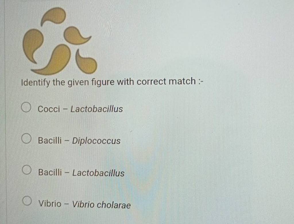 Identify The Given Figure With Correct Match Filo