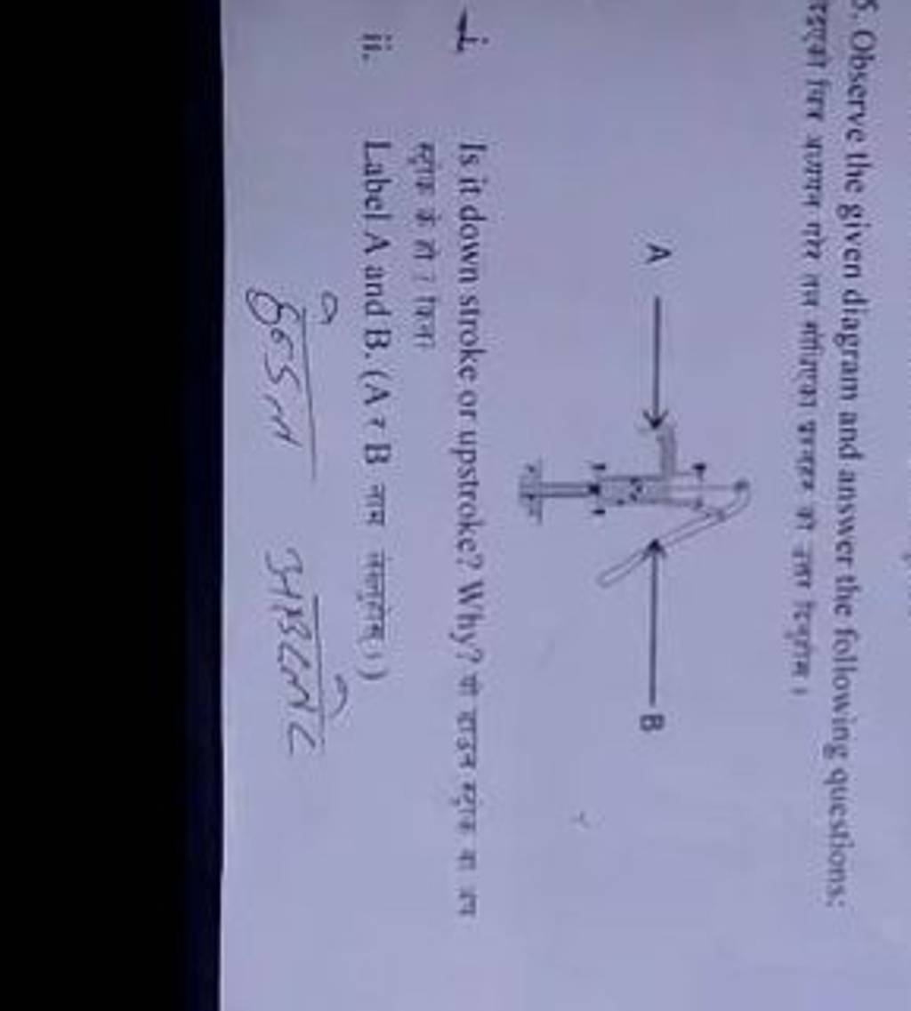 5. Observe The Given Diagram And Answer The Following Questions: Is It Do..