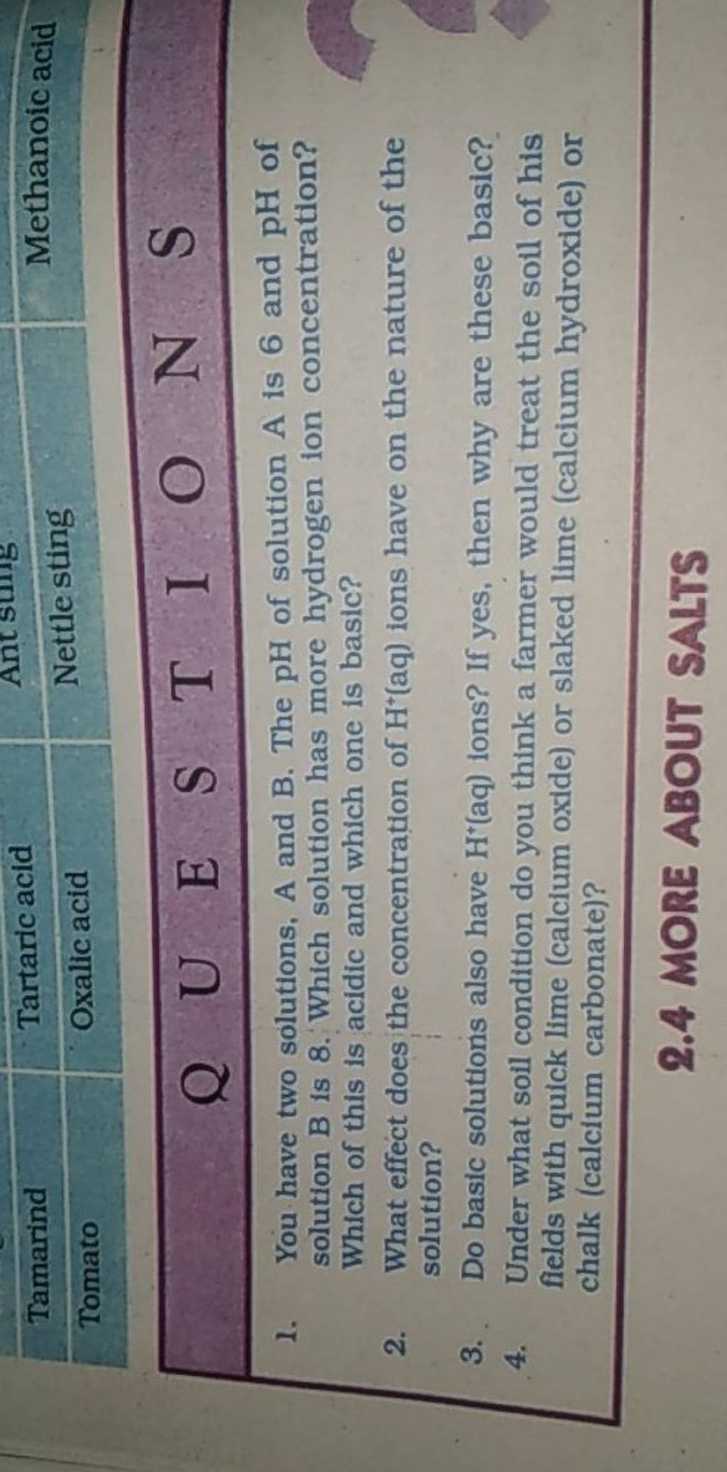 Tamarind Tartaric acid Tomato Oxalic acid Nettle sting Methanoic acid..