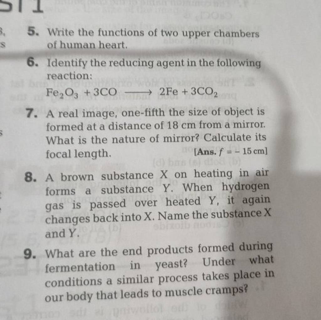 write the function of two upper chambers of human heart