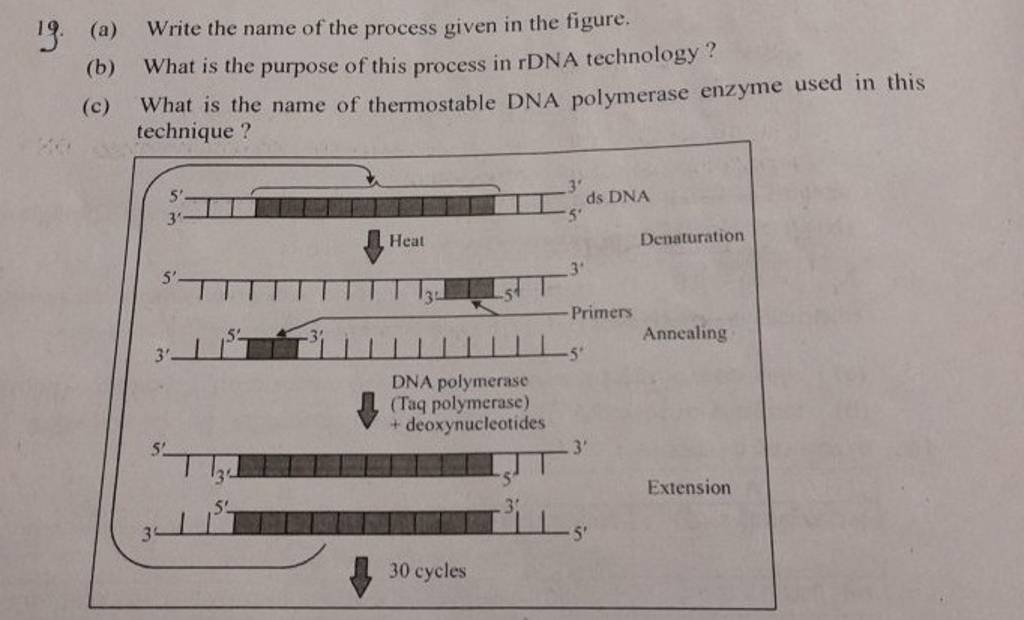 19-a-write-the-name-of-the-process-given-in-the-figure-b-what-is-th