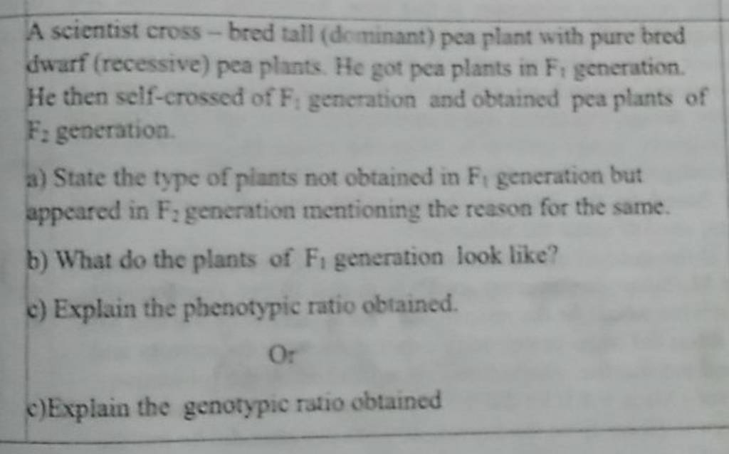 a-scientist-cross-bred-tall-deminant-pea-plant-with-pure-bred-dwarf