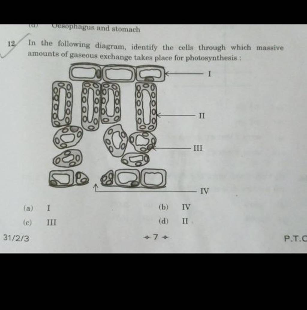 in-the-following-diagram-identify-the-cells-through-which-massive-amount