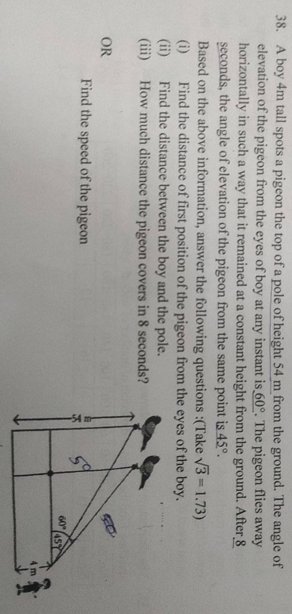 38. A boy 4 m tall spots a pigeon the top of a pole of height 54 m from t..