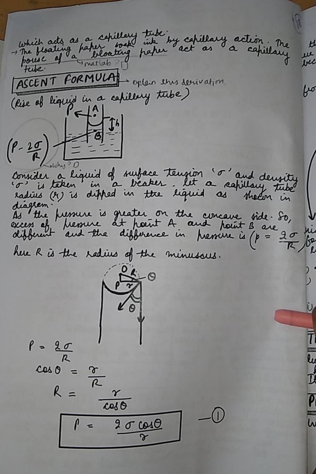 bouse of a bloating paper act as a capillary ASCENT FORMULA explain this