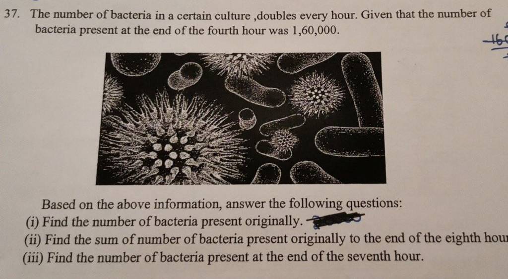 37-the-number-of-bacteria-in-a-certain-culture-doubles-every-hour-give