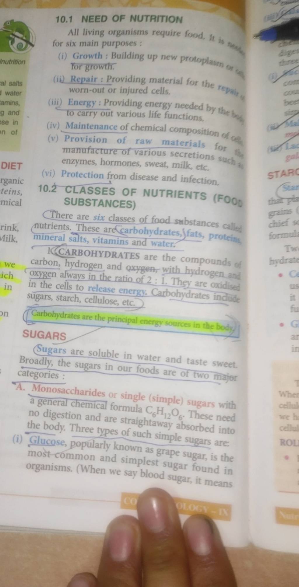 10 2 CLASSES OF NUTRIENTS FOOD SUBSTANCES There Are Six Classes Of Food 