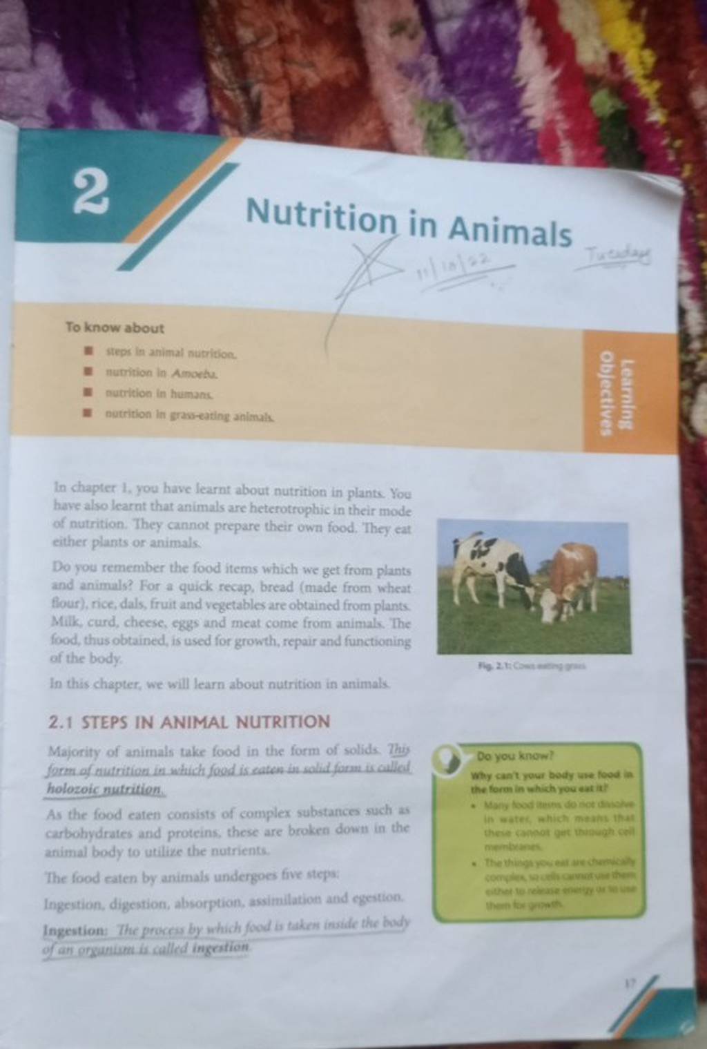 Nutrition in Animals To know about * steps in animal nutrition. numrition..