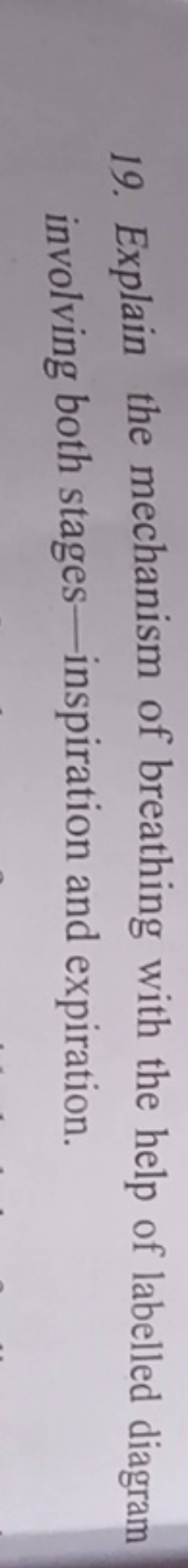 Explain The Mechanism Of Breathing