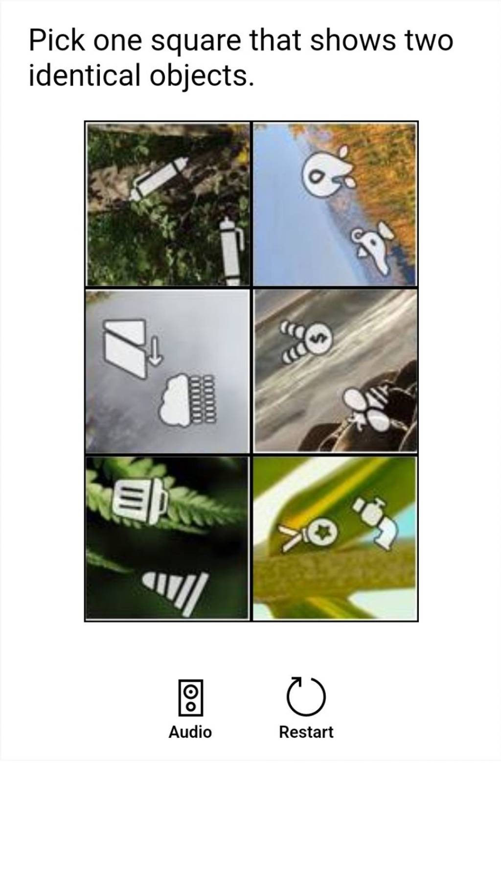 pick-one-square-that-shows-two-identical-objects-g-audio-o-restart-goo