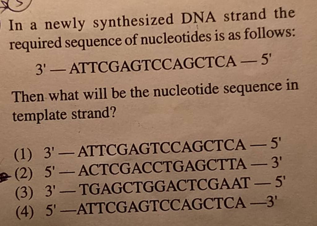 In a newly synthesized DNA strand the required sequence of nucleotides is..