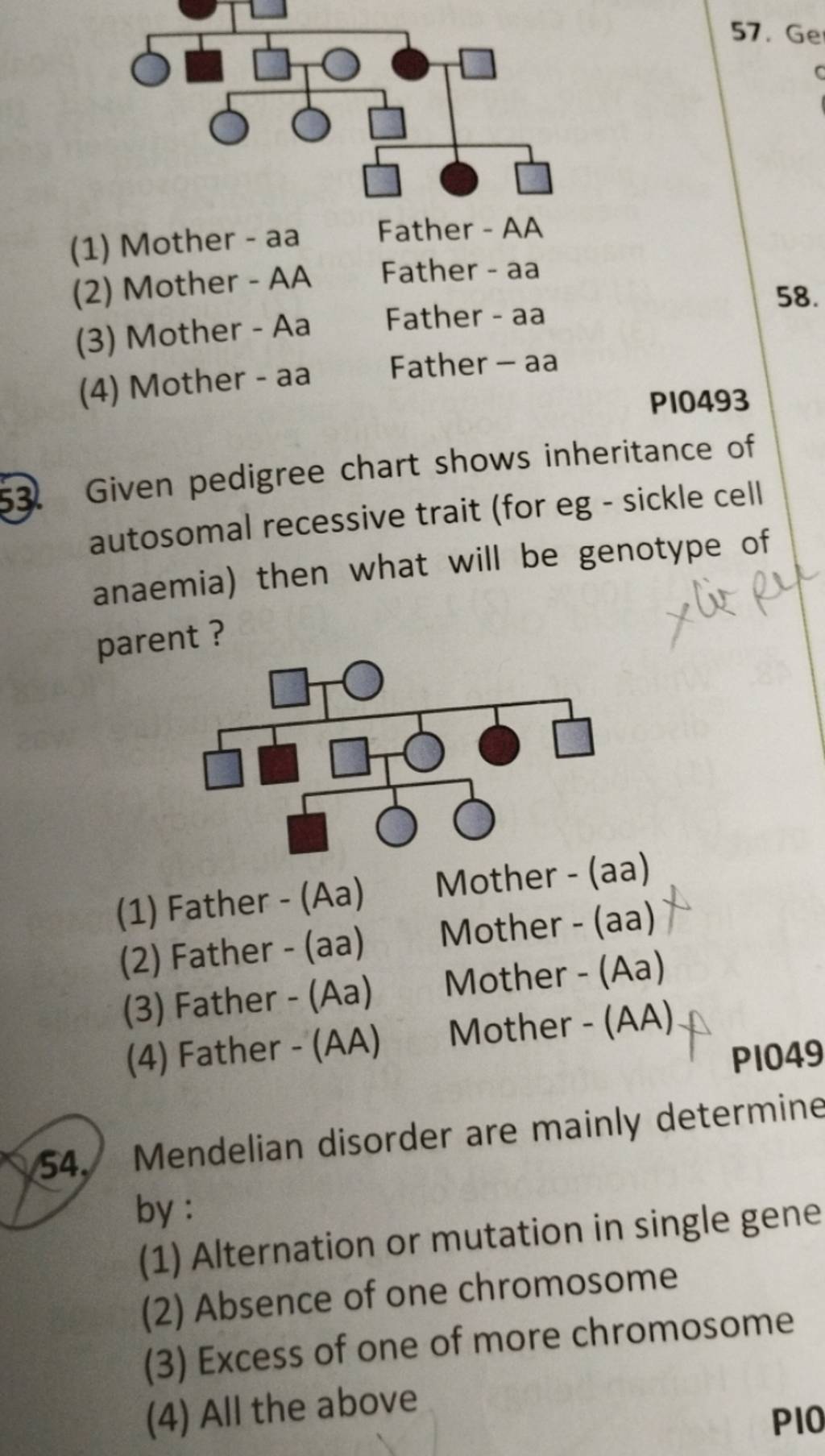 P1049 54. Mendelian disorder are mainly determine Filo