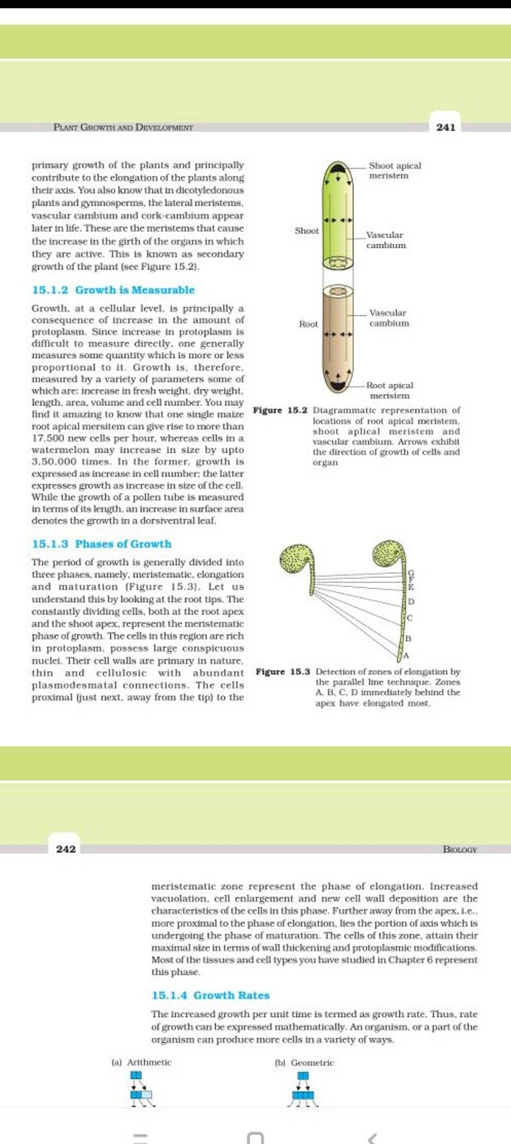 PLANT GROWTH AND DEVELOPMENT primary growth of the plants and principally..