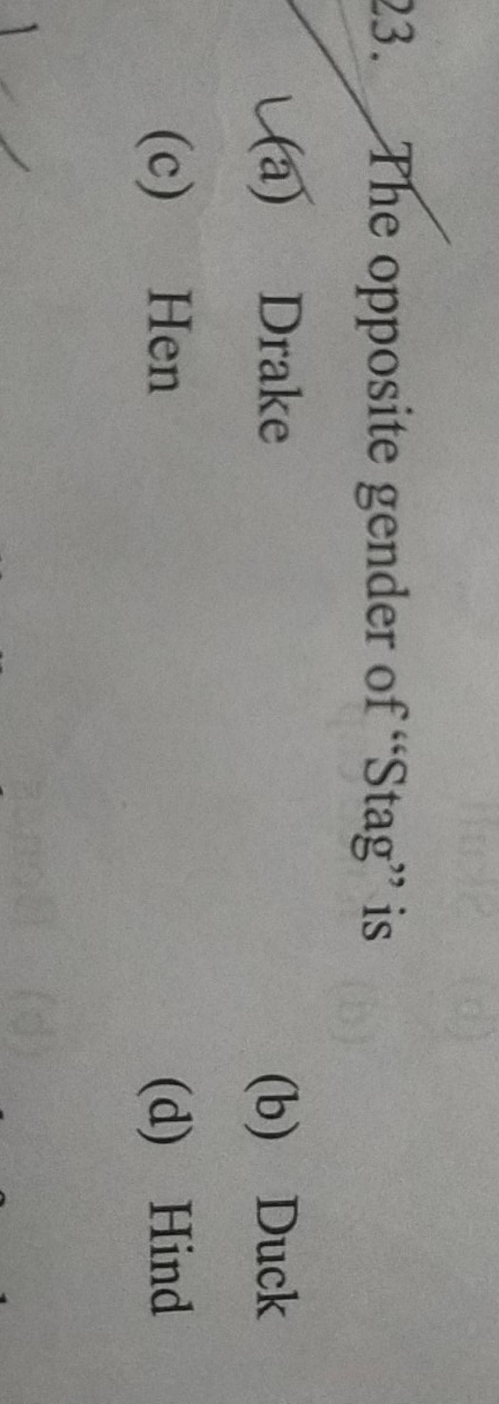 the-opposite-gender-of-stag-is-filo