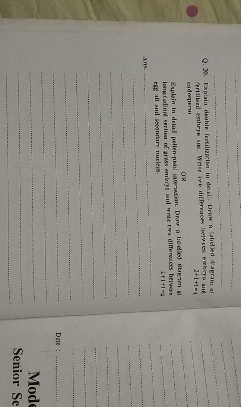 Q 20 explain double fertilization in detail draw a labelled diagram of 