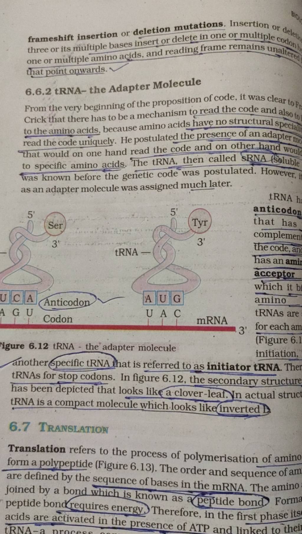 frameshift insertion or deletion mutations. Insertion or deleqt of multip..