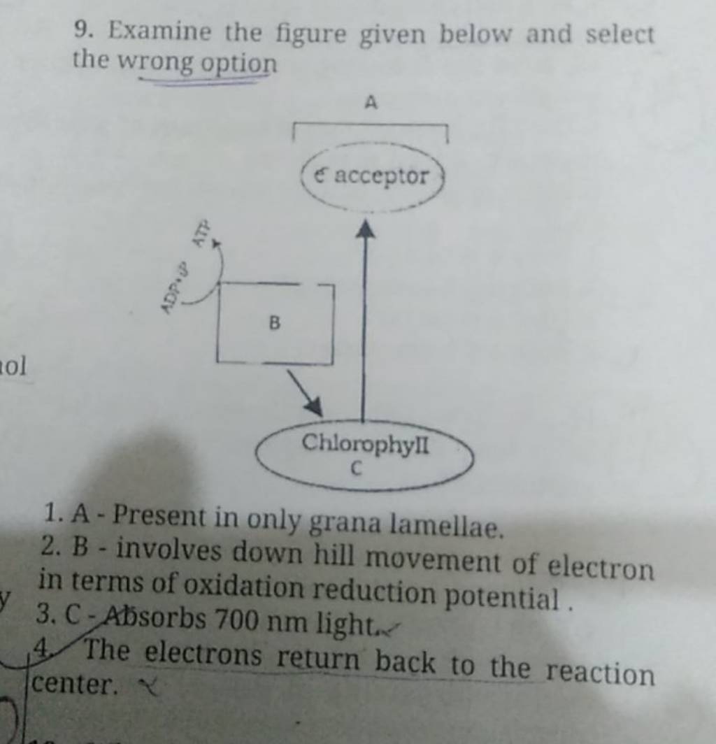 Examine The Figure Given Below And Select The Wrong Option | Filo