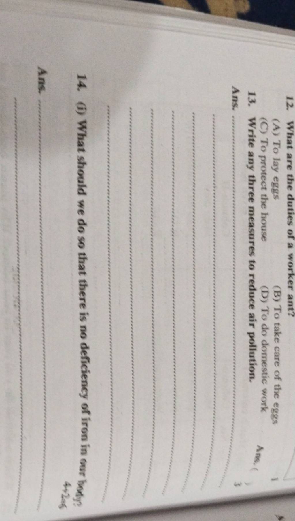 what-are-the-duties-of-a-worker-ant-filo