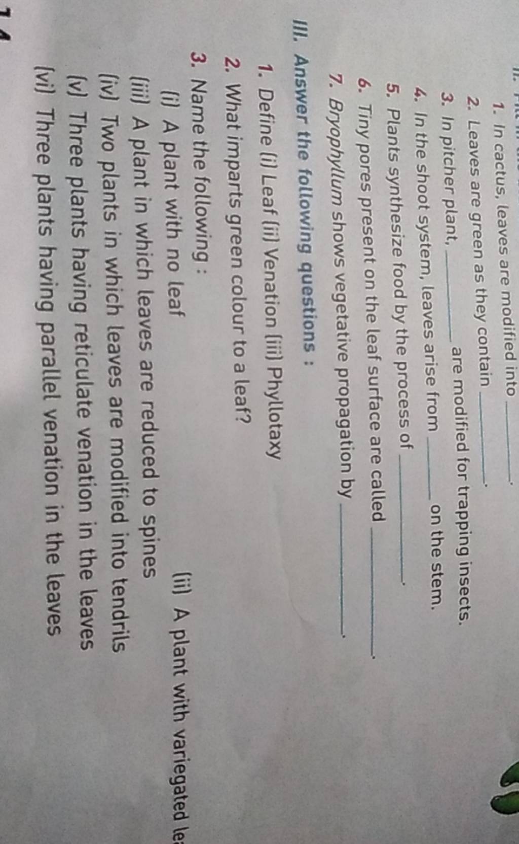 In cactus, leaves are modified into 2. Leaves are green as they contain 3..