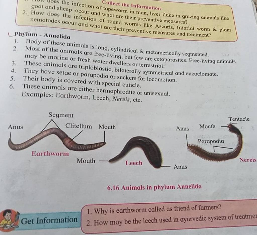 goat and sheep occur and tapeworm in man, liver fluke in grazing animals