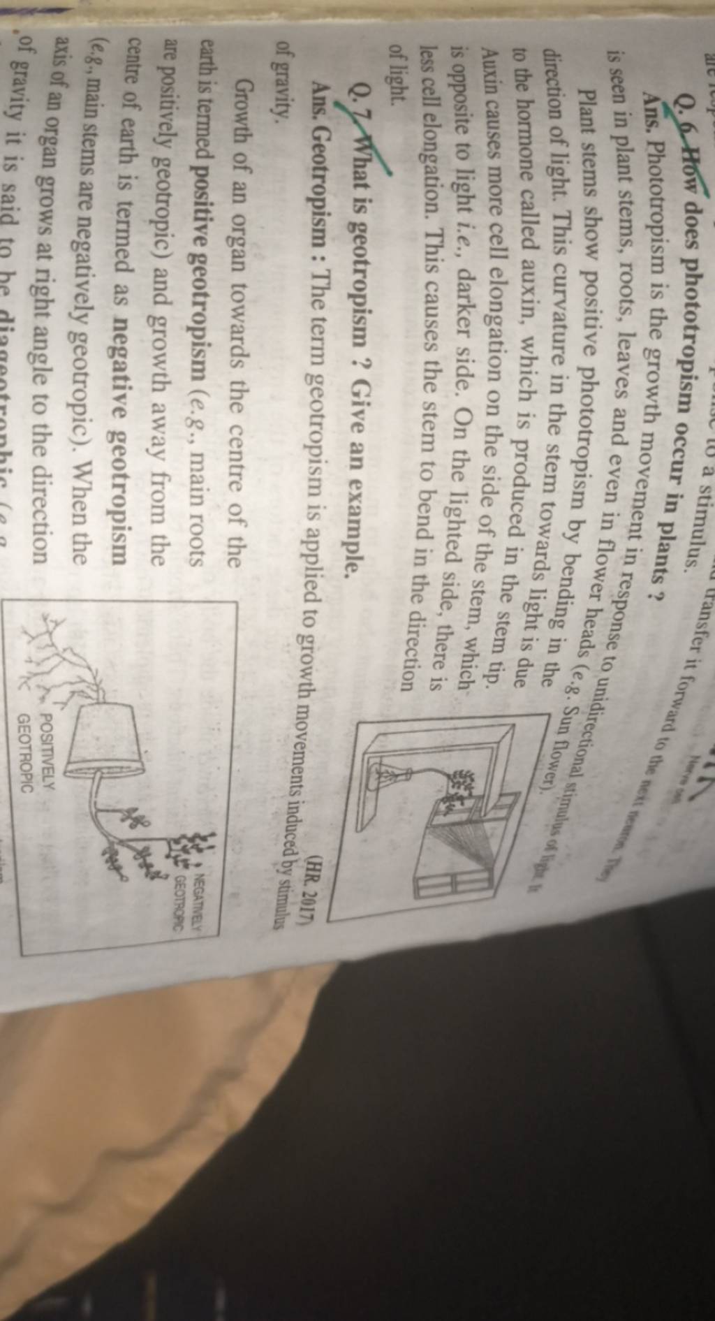 q-6-how-does-phototropism-occur-in-plants-ans-phototropism-is-the-gr