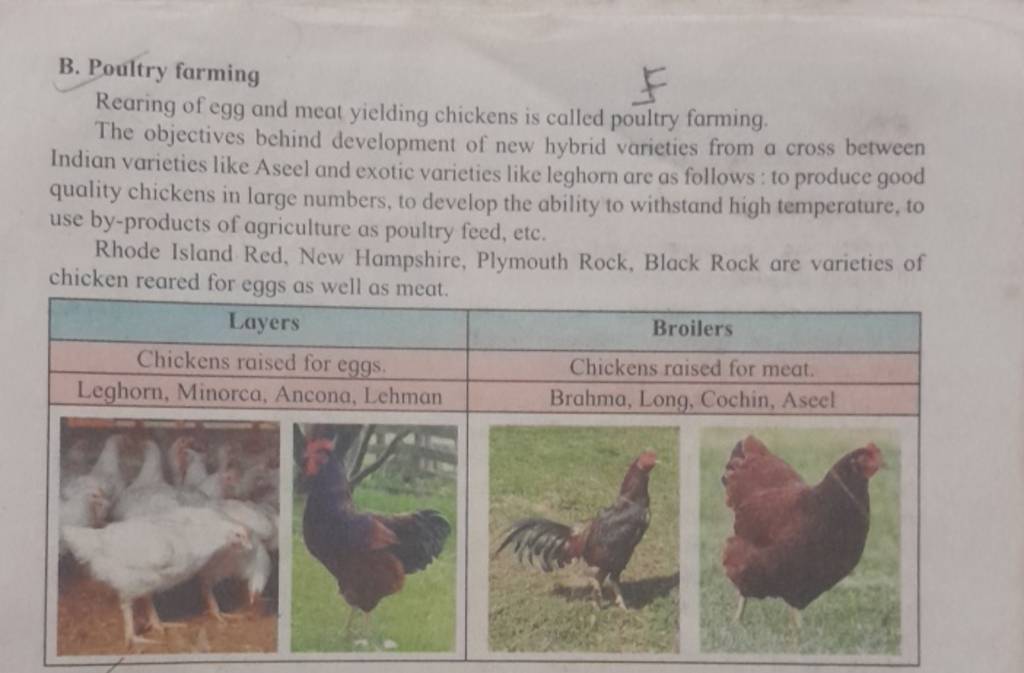 B. Poultry Farming Rearing Of Egg And Meat Yielding Chickens Is Called Po..