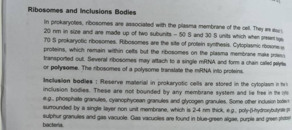 Ribosomes and Inclusions Bodies
In prokaryotes, ribosomes are associat