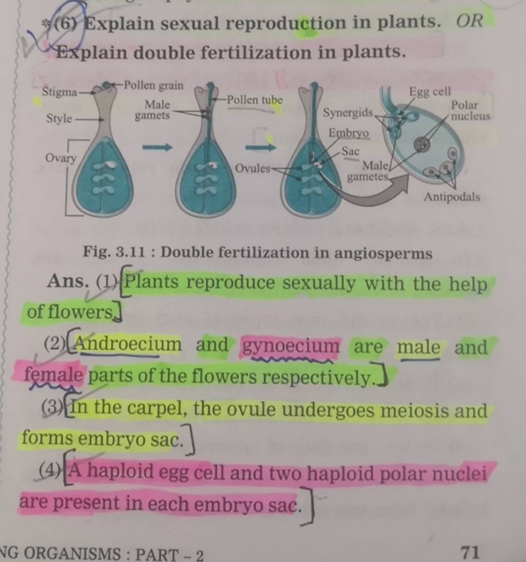 (6) Explain sexual reproduction in plants. OR Explain double fertilizatio..