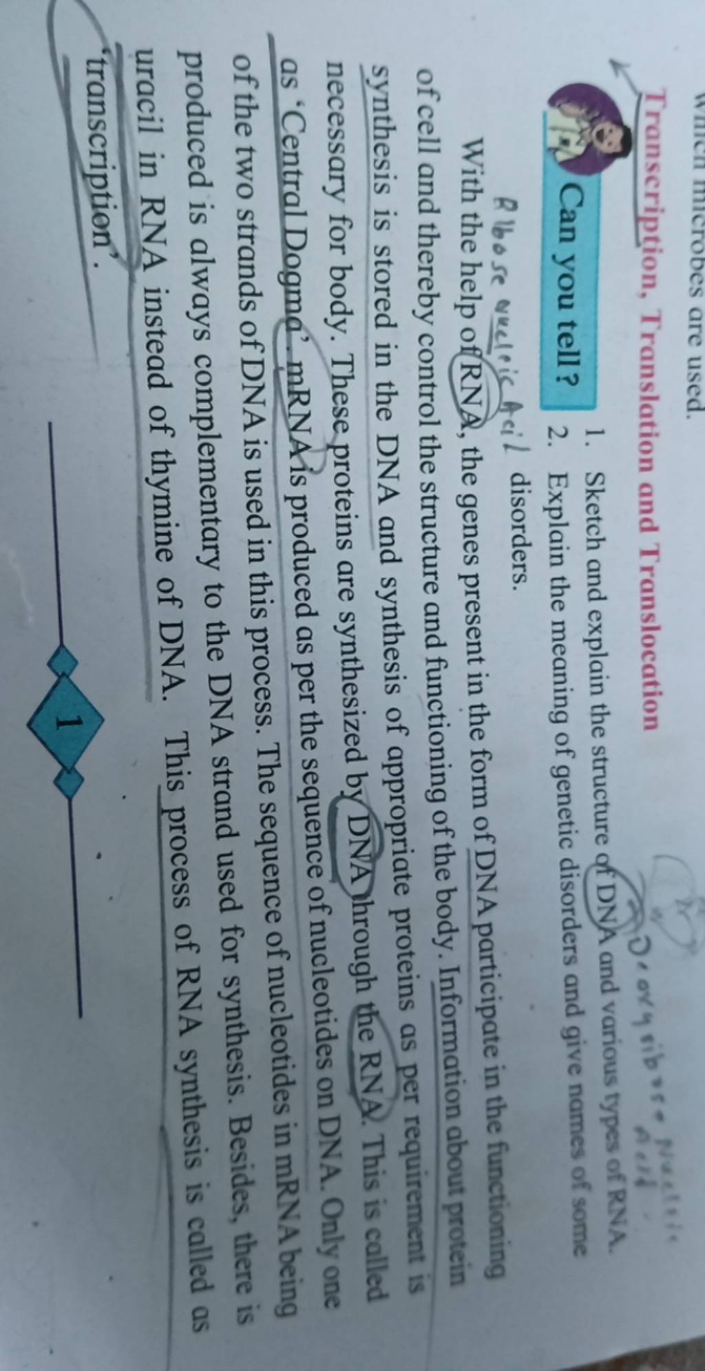 1-sketch-and-explain-the-structure-of-dna-and-various-types-of-rna