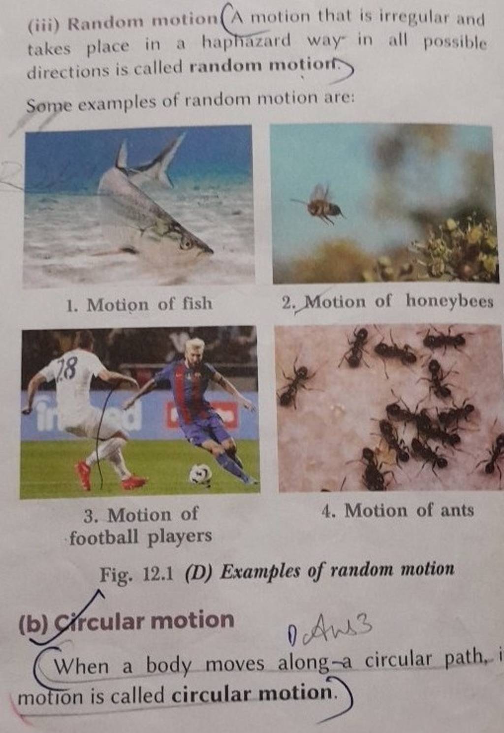 Examples of random motion
