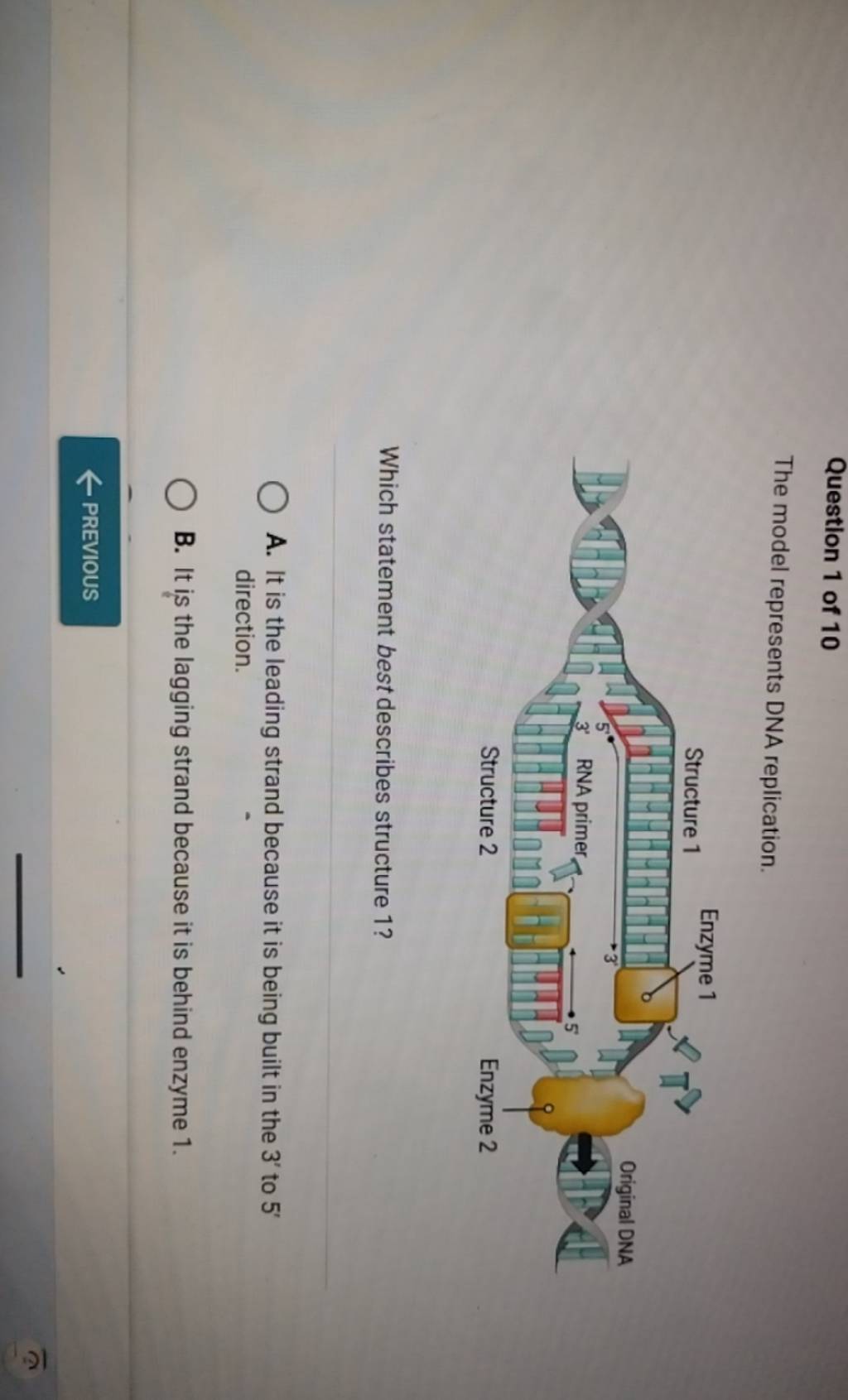 Question 1 of 10
The model represents DNA replication.
Structure 2
Enz