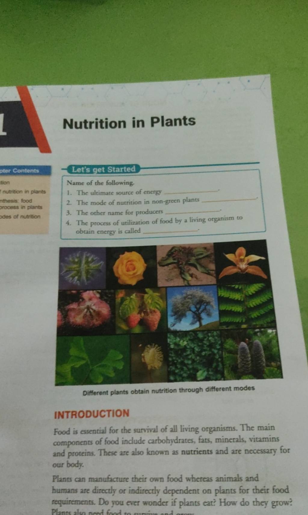 Nutrition in Plants Let's get Started Name of the following Filo