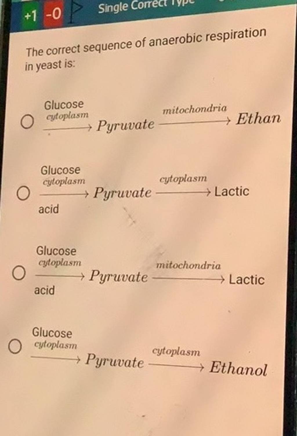 The Correct Sequence Of Anaerobic Respiration In Yeast Is Glucose Glucos The correct sequence of anaerobic respiration in yeast is glucose glucos