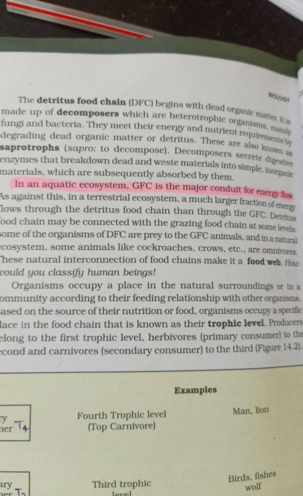 the-detritus-food-chain-dfc-begins-with-dead-organic-matter-it-is-made