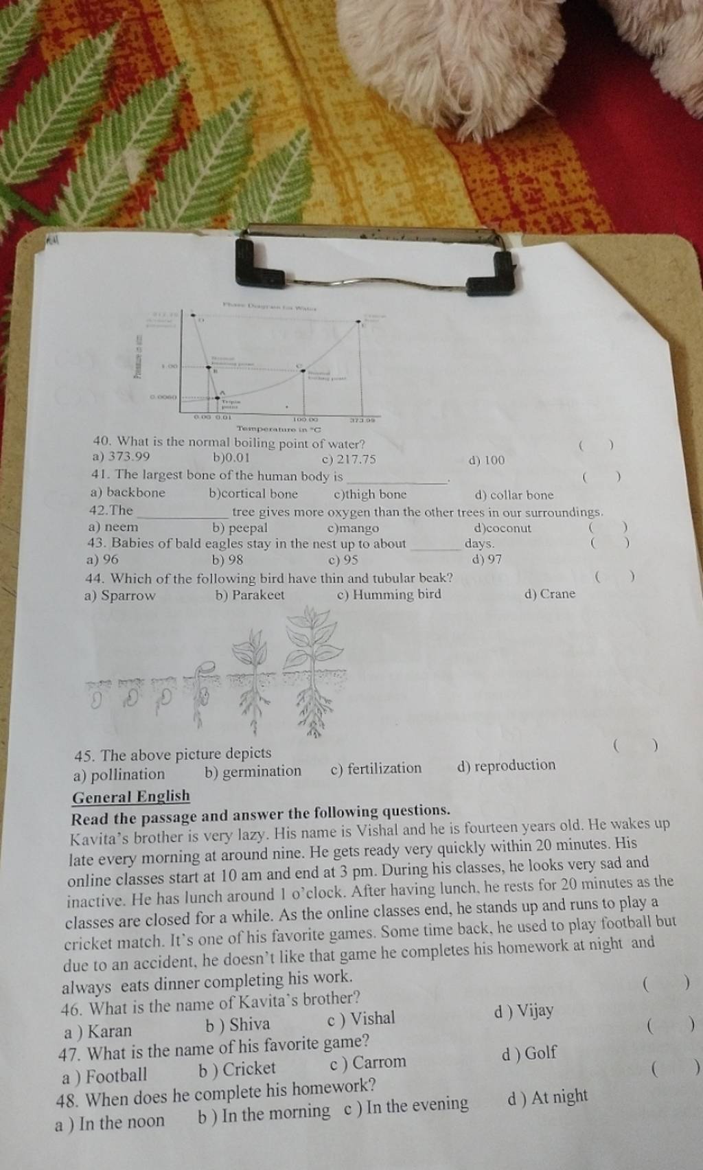 The tree gives more oxygen than the other trees in our surroundings...