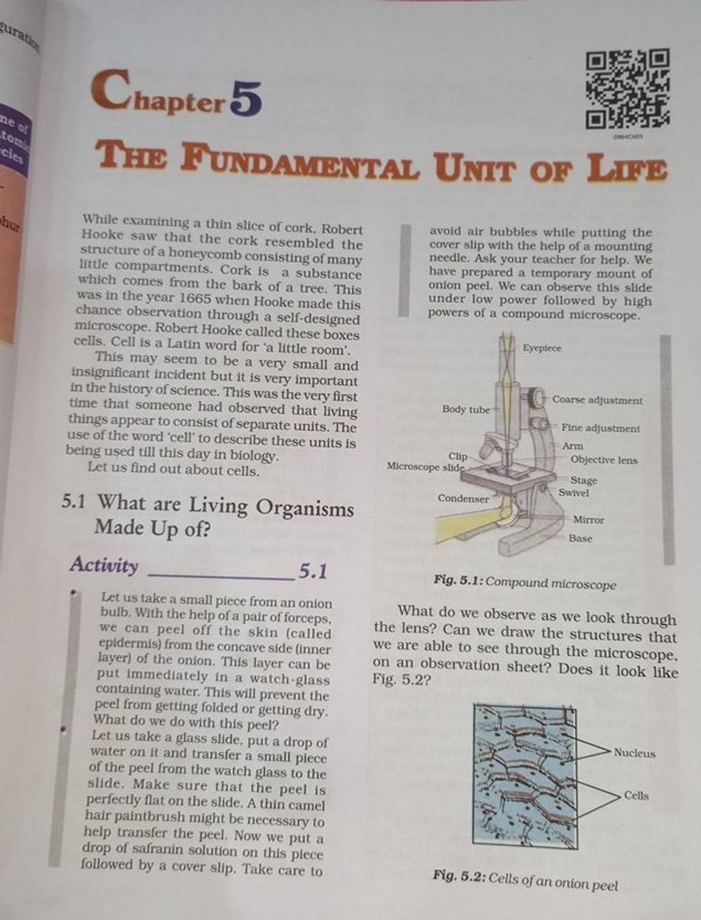 While examining a thin slice of cork, Robert Hooke saw that the cork rese..