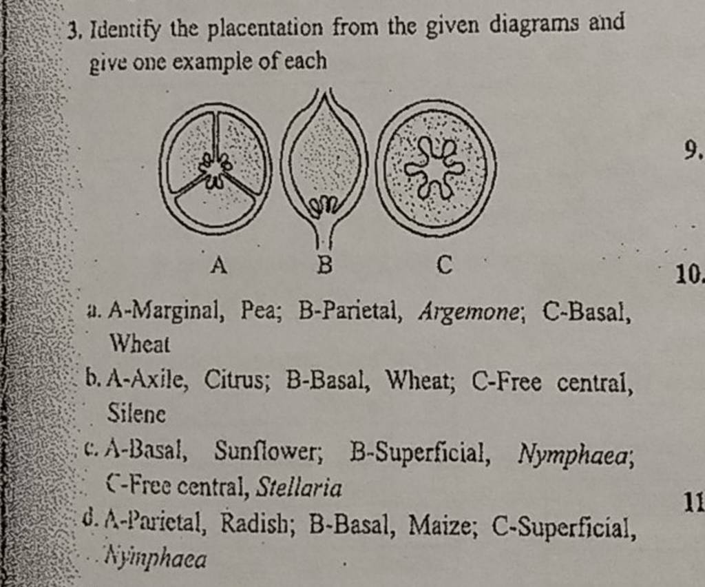 Identify The Placentation From The Given Diagrams And Give One Example Of..