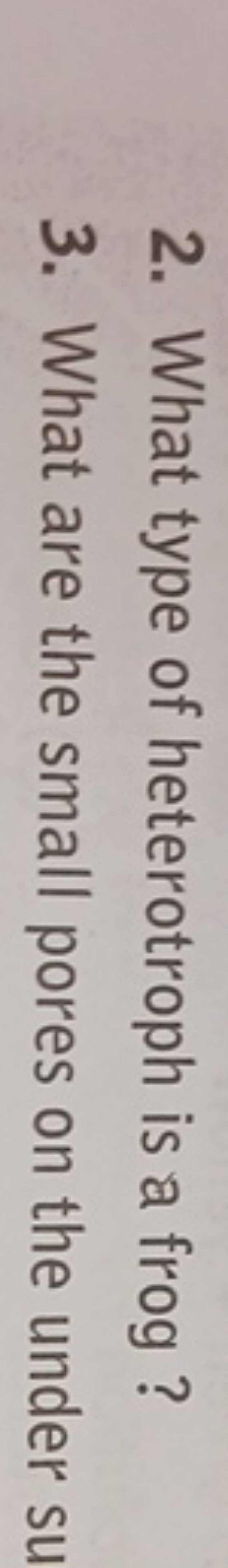 2-what-type-of-heterotroph-is-a-frog-3-what-are-the-small-pores-on-the